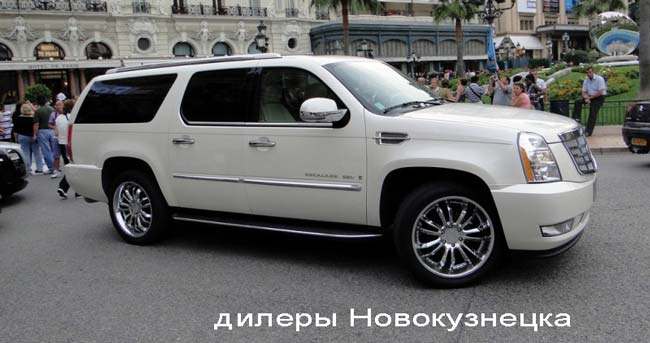 официальные дилеры в новокузнецке